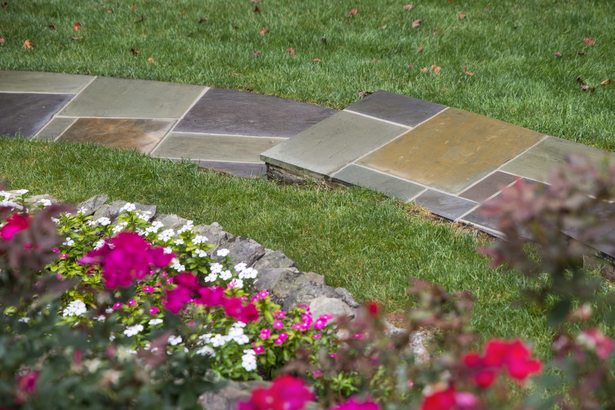 Flagstone patio edge with flowering garden bed in Northern Virginia